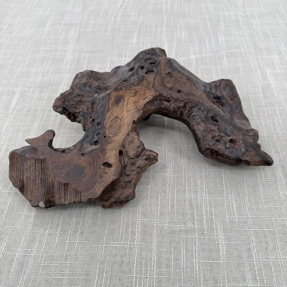 Natural Burl Wood Art Sculpture Candle Holder Decor